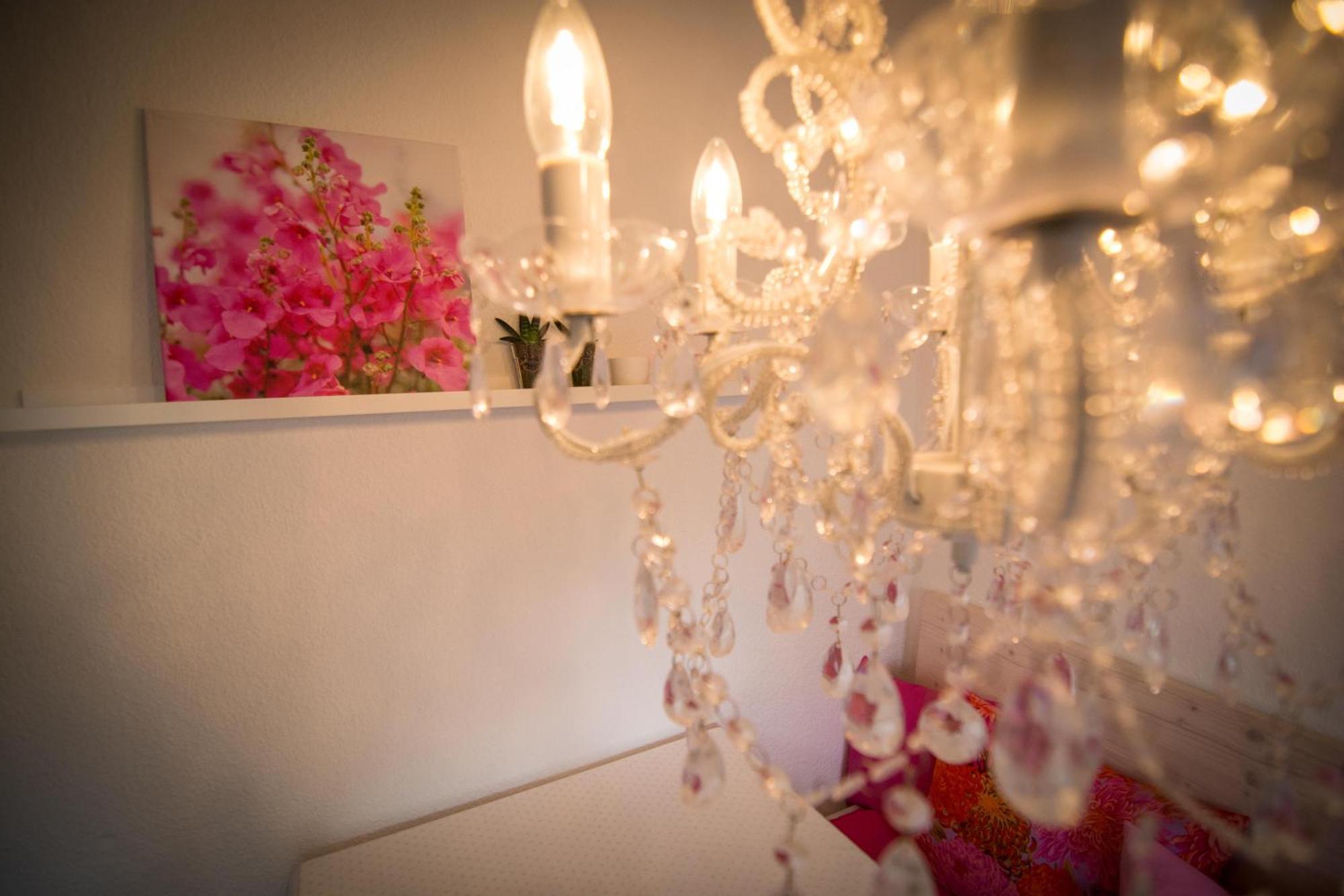 Boutique Ferienwohnungen Mit Gartensauna, Naehe Europapark Und Strassburg "Uebernacht - Am Talbach" Офенбург Екстериор снимка